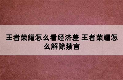 王者荣耀怎么看经济差 王者荣耀怎么解除禁言